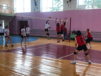 Наши спортсмены признаны сильнейшими в двух видах спорта