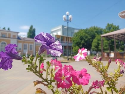 Шахтинцев ждут жара и небольшой дождь