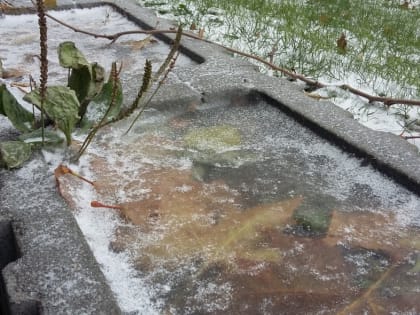 В первое воскресенье декабря в Ростове будет морозно и ветрено