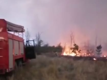 Крупный лесной пожар в Ростовской области