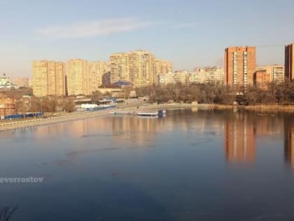 Ростовчанина, пытавшегося спасти собаку, пришлось вызволять из полыньи водохранилища