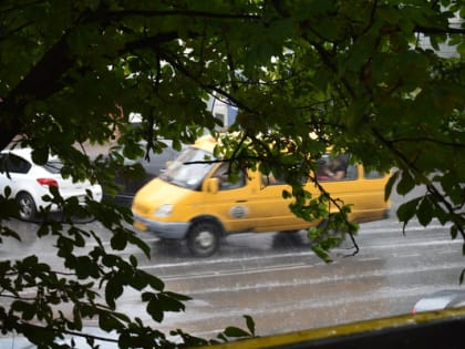 Жара и дожди не покинут Шахты в ближайшие дни