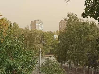 Пыльная буря накрыла Волгодонск