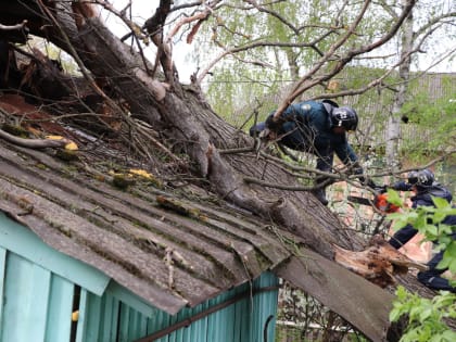 В Ростовской области объявили штормовое предупреждение из-за ливней до 17 сентября