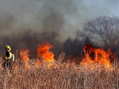 С начала года в Новошахтинске зарегистрировано 50 пожаров мусора и сухой растительности