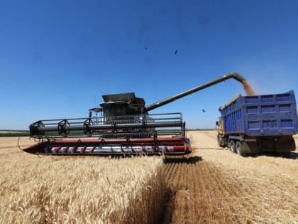 Донской каравай стал самым богатым в стране