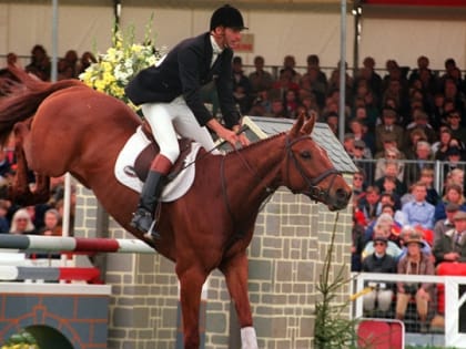 Олимпийского чемпиона Марка Тодда обвинили в жестоком обращении с животными