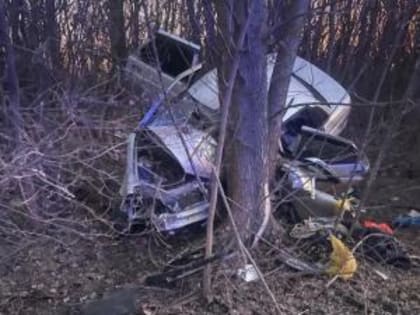 На трассе Ростов - Волгодонск «Приора» врезалась в дерево