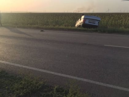 В Ростовской области водитель подвезла подростков и попала в смертельное ДТП