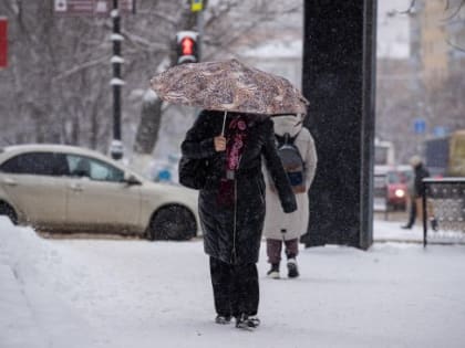Снег с дождем ожидается в Ростове на новой рабочей неделе