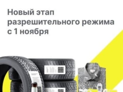 Обязательные онлайн проверки товаров с 1 ноября 2024 года
