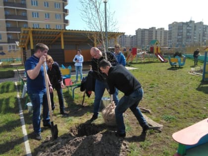 В День древонасаждений в Ростове будут песни и пляски