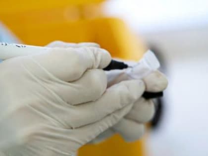 В Ростовской области зафиксировали рекордный рост коэффициента распространения Covid-19