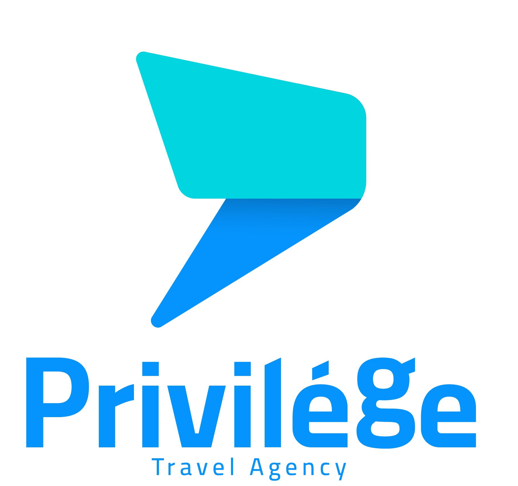 Privilege Travel