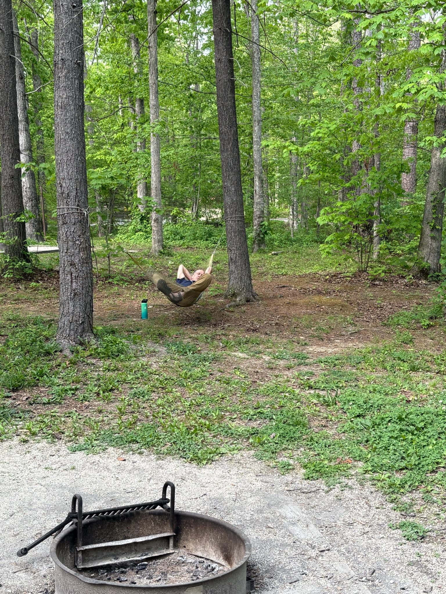 Chilling in Koomers Ridge Campground
