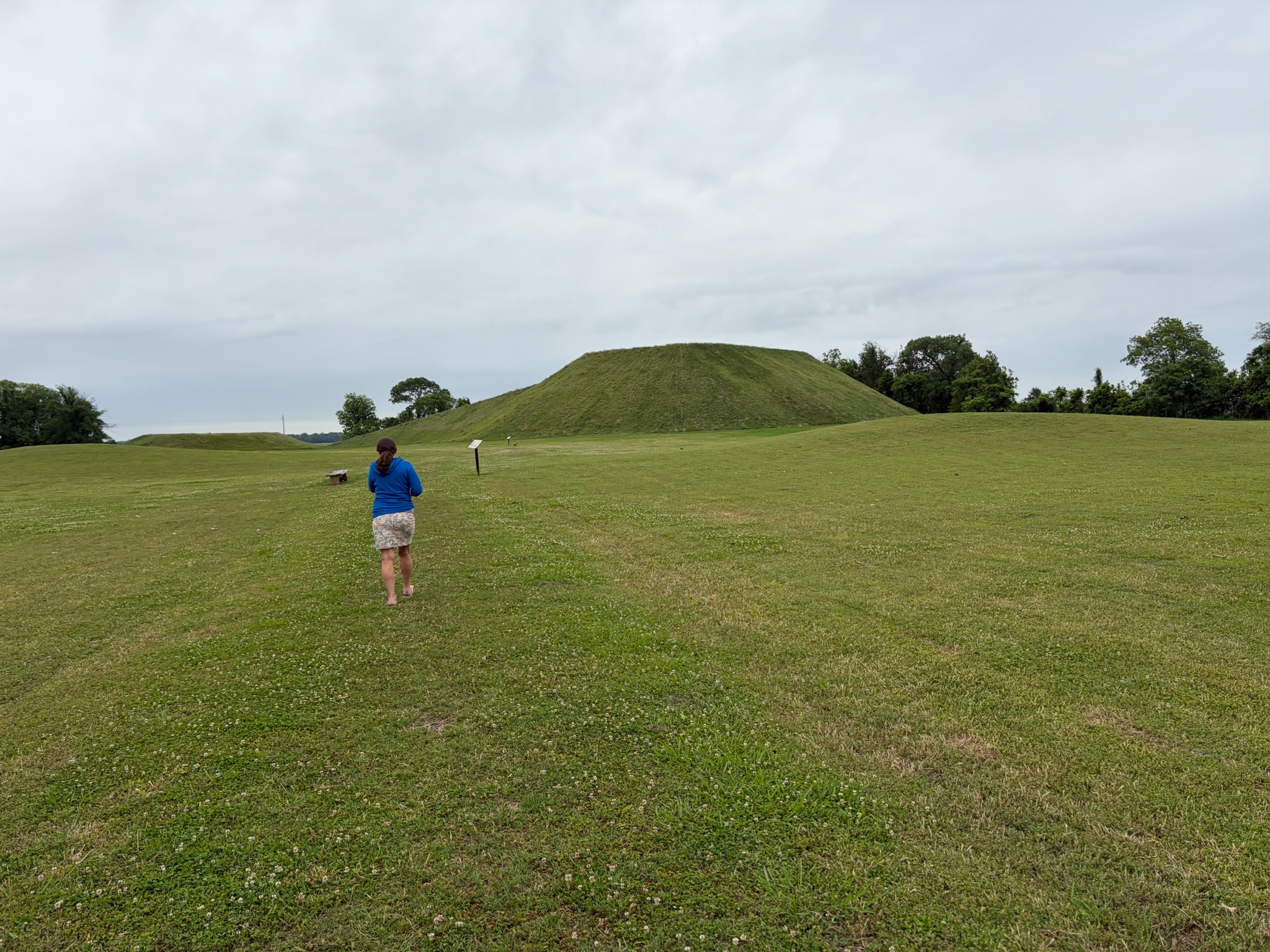 Catherine approaching the large (55 feet high) mound at Winterville. 