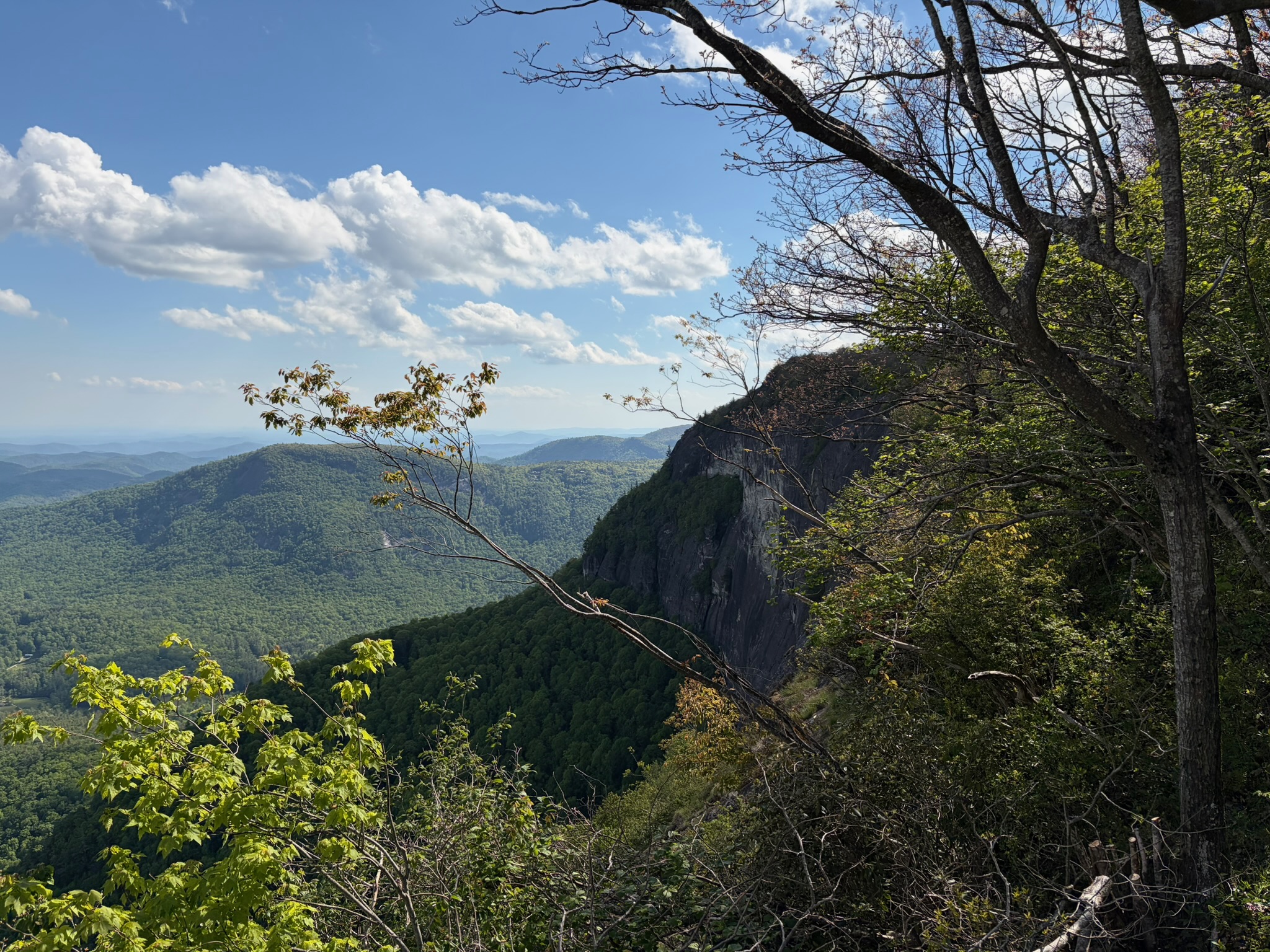 No need to gild the lily – Western North Carolina