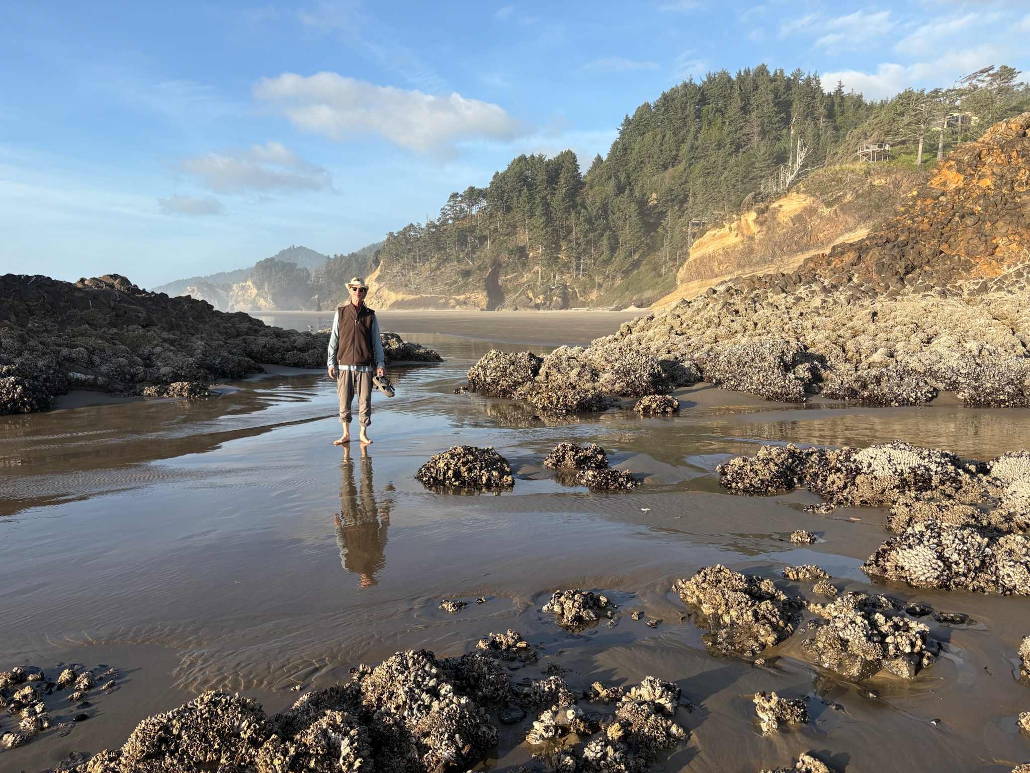 Going to Church – the Heavenly Oregon Coast and the Redwood Cathedrals