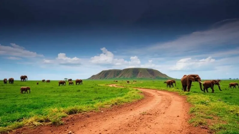 BIODIVERSITY CHAINS TO TRANSFORM RURAL LIVELIHOODS