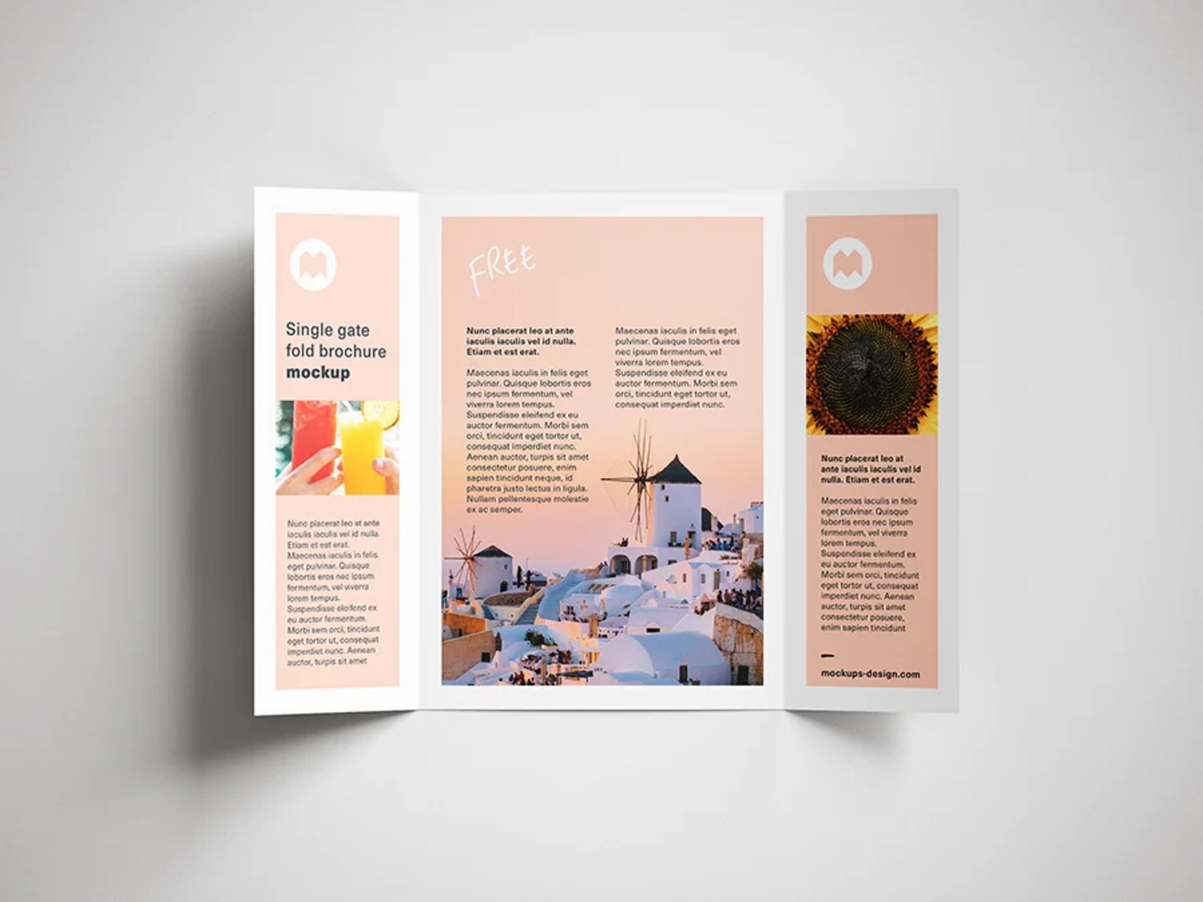 Gate-Fold Brochures