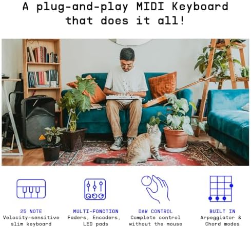 Vue 2 de Minilab Black