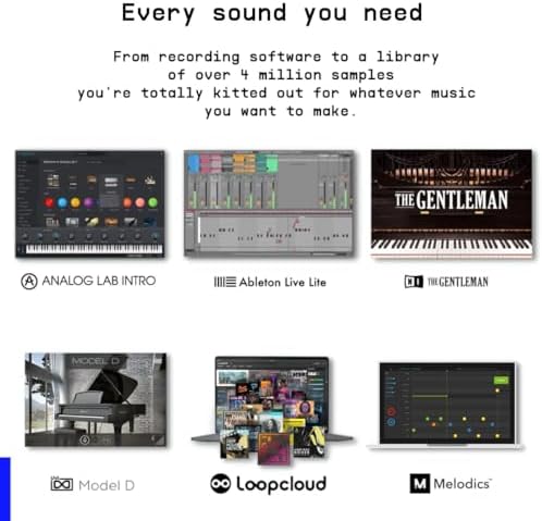 Vue 5 de Minilab Black