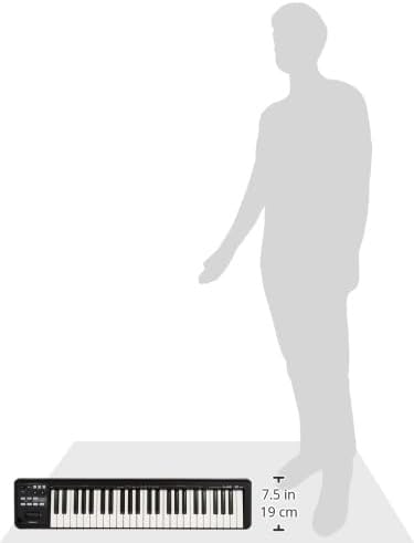 Vue 3 de Roland Abk Clavier Midi