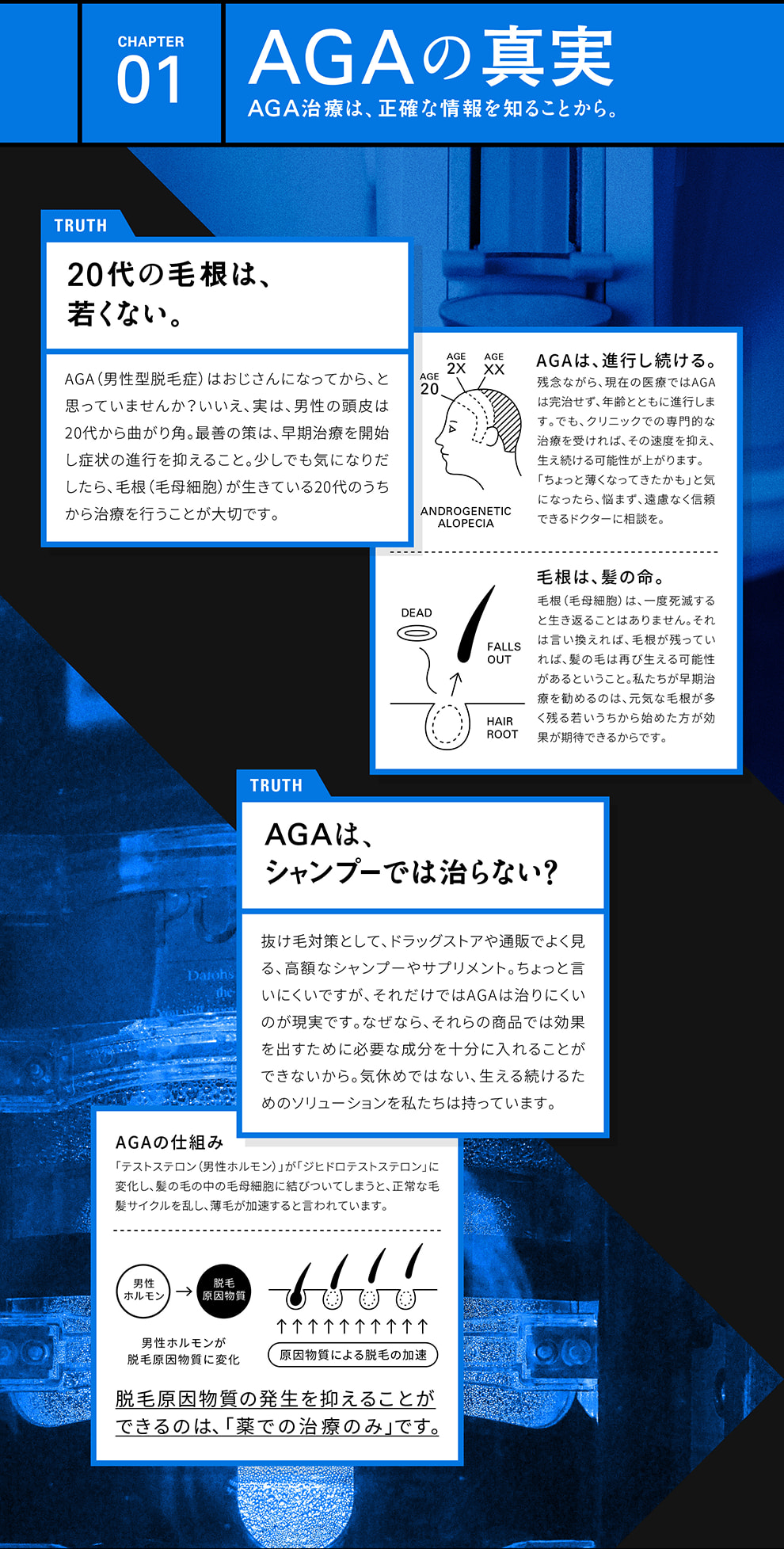 GORILLA CLINIC