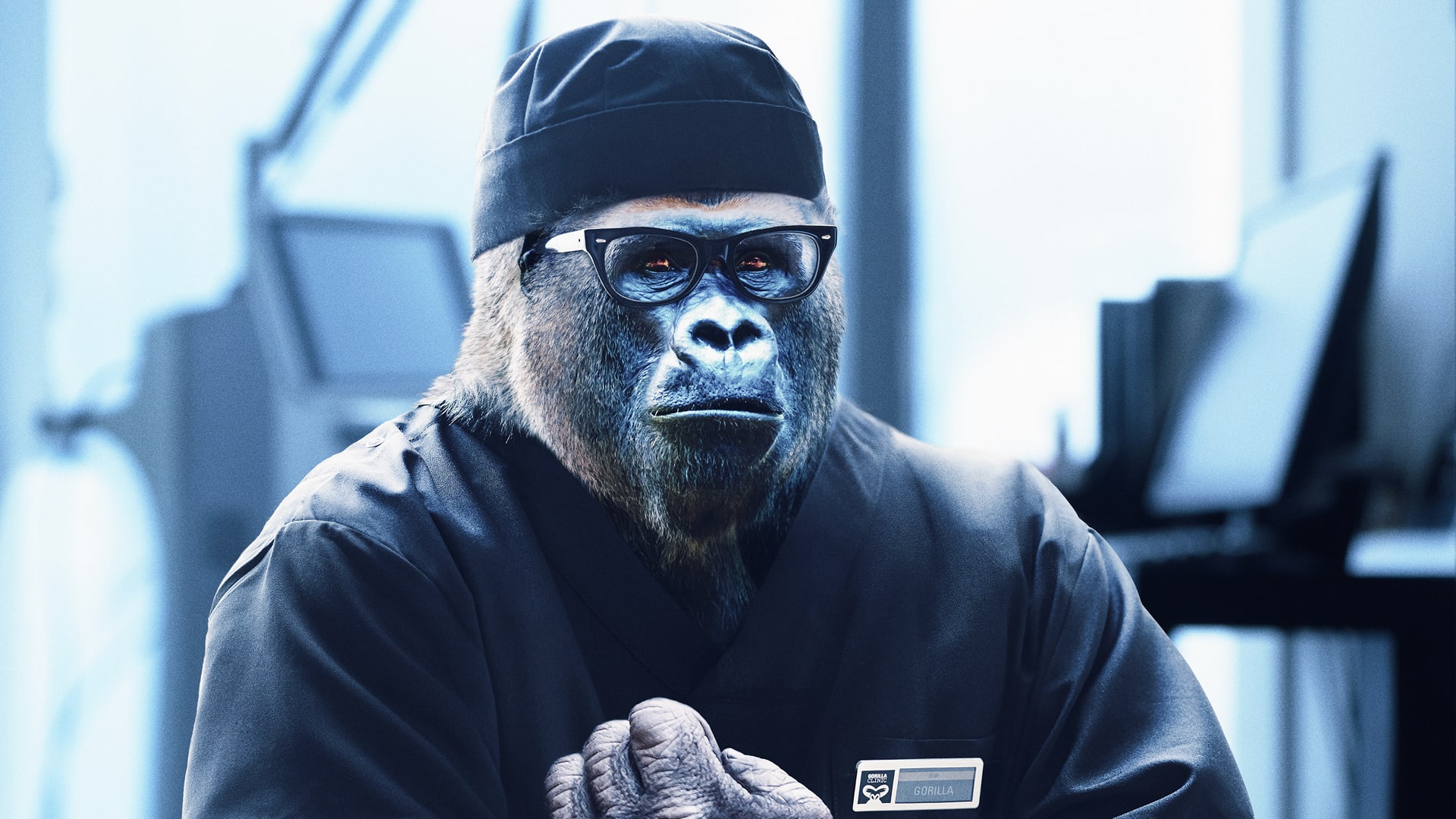 GORILLA CLINIC