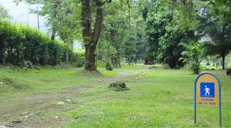 Jardín 10