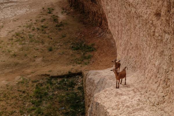 Hands kneading mud into bricks