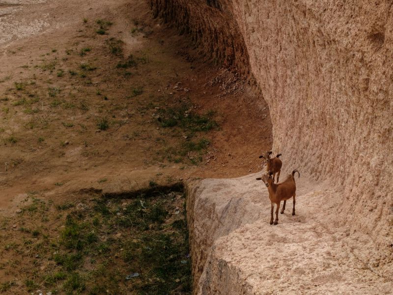 Hands kneading clay bricks inside the Kano mud pit