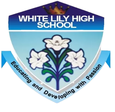Whitelily School