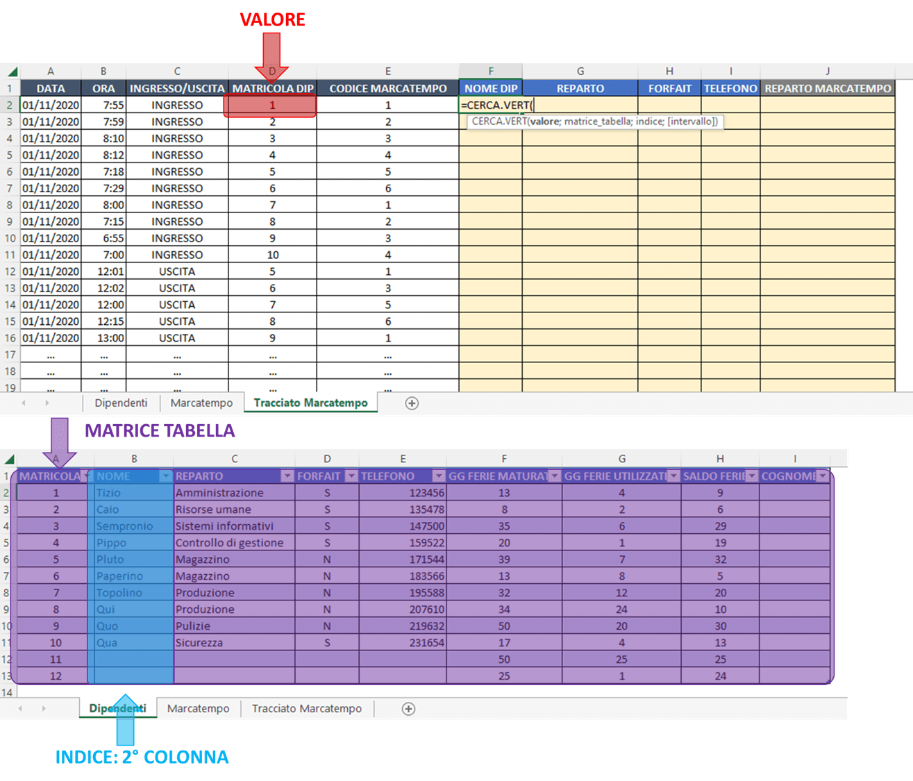 schema grafico cerca vert