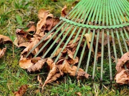 Ульяновские подростки в трудовых отрядах в среднем за десять дней смогут заработать 4500 рублей