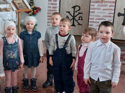 Рождественский утренник прошел в храме с. Озерки