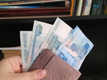 За год размер средней зарплаты ульяновцев вырос более чем на 12%