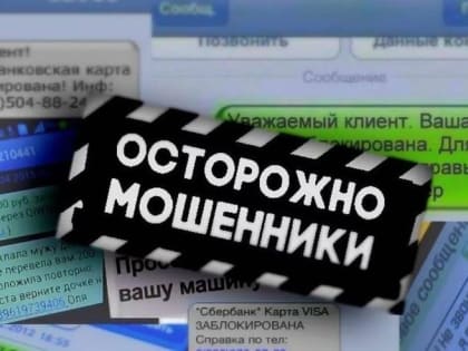 Путин поручит кабмину ускорить работу по соцподдержке некоторых категорий участников СВО