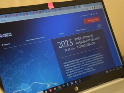 На предварительном голосовании «Единой России» в Димитровграде за три дня до окончания процедуры избиратели отдали свыше трех тысяч голосов