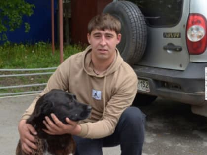 Быть ответственным хозяином: ульяновец рассказал, как бесплатно стерилизовать собаку
