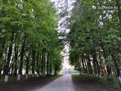 Скандинавский антициклон прогреет воздух за окном по максимуму