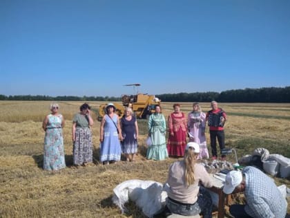 Половина пройдена! Как ульяновские аграрии работают на полях