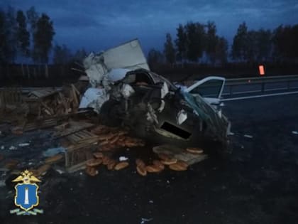 На подъезде к Ульяновску столкнулись легковушка и фура