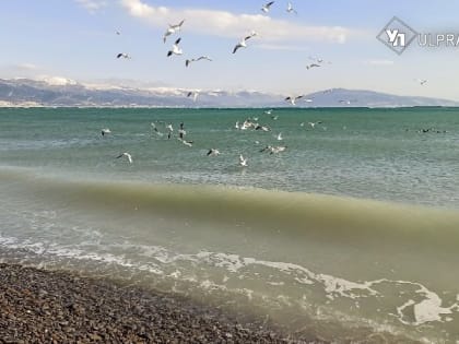 Курортный сбор могут распространить на все регионы России