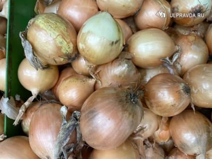 В Ульяновской области репчатый лук подешевел в два раза