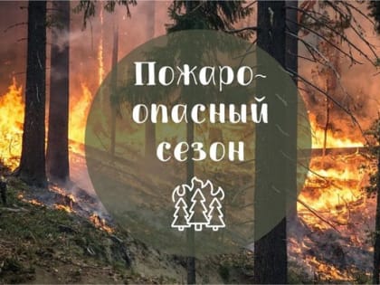 В нацпарке «Сенгилеевские горы» ограничили визиты ульяновцев