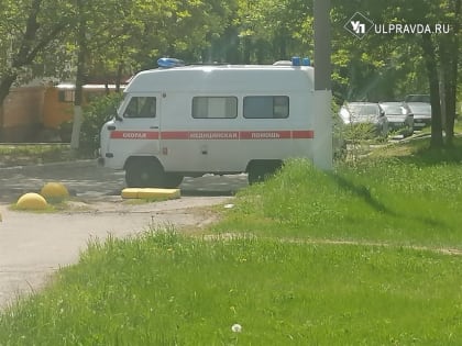 В ульяновскую больницу привезли ребёнка, которого укусила кошка