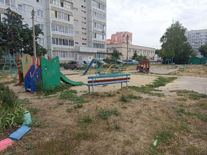 К осени в Ульяновске установят 16 игровых и спортивных площадок благодаря народным инициативам