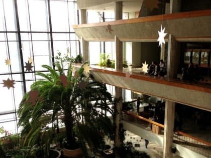 Уроки под пальмой. Какая экзотика растет в УлГПУ