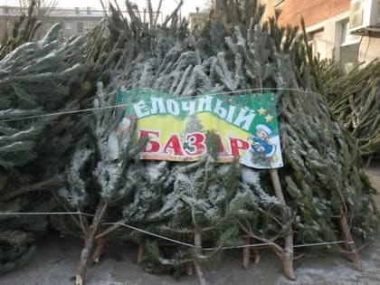 В Ульяновске зимой будут работать 22 ёлочных базара